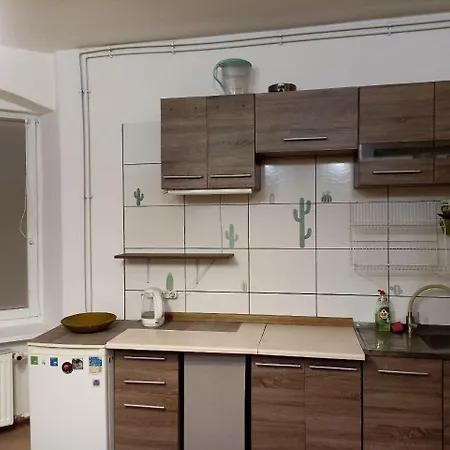 Near Center Apartment
